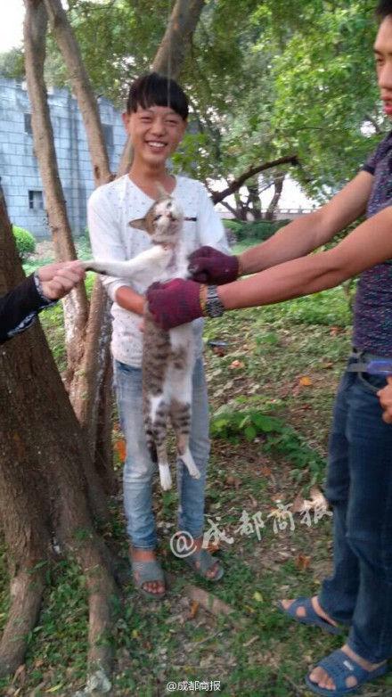 数名男女浙江景区<em>虐猫</em> <em>女子</em>以活剥猫皮为乐(图