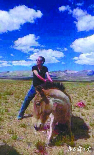 男子将狗吊树上虐杀被指变态 盘点虐待动物事