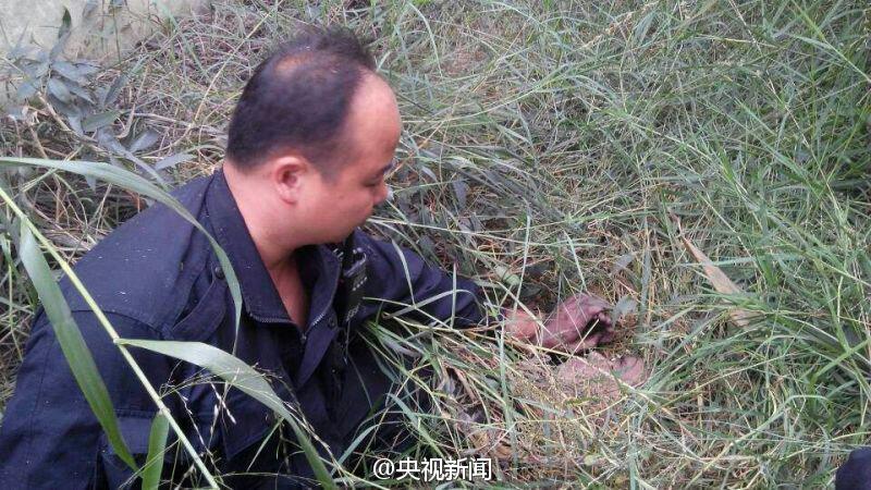 广东越狱逃犯藏身地曝光 距监狱直线距离仅50