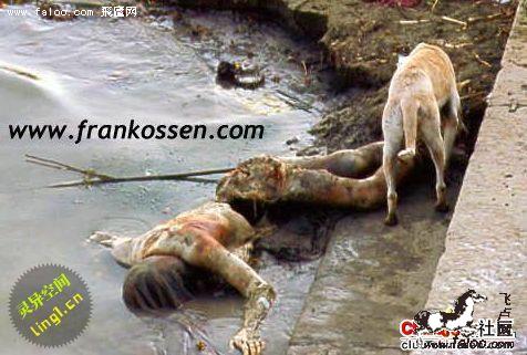 印度<em>恒河</em>浮尸﹕100多具尸体高度腐烂遭动物分