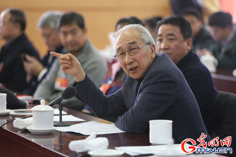 明星委员参加政协文艺界别小组讨论会(7)