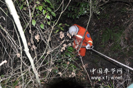 表<em>兄妹相爱</em>遭全家反对 男子跳崖欲求解脱 _法