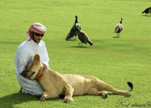 吴小晖致电民生银行:安邦只做财务投资人(1)