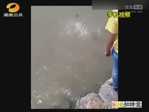 实拍少年水中挣扎<em>1分钟</em>后溺亡 小伙伴均在岸边