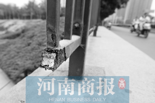 郑州一大桥栏杆填充<em>海绵</em> 官方称能为桥延寿_