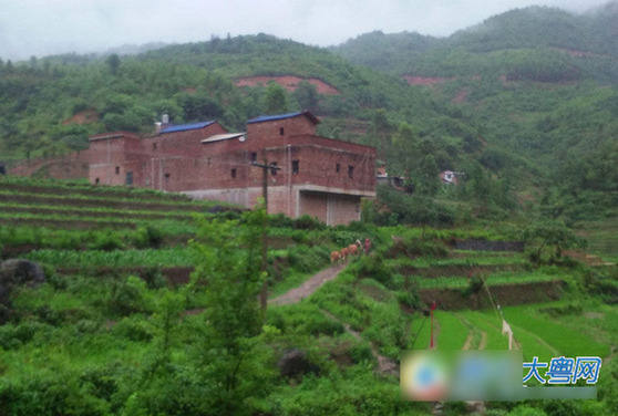 <em>打工妹</em>被男友卖到河南做人妻7年 频遭强奸虐待