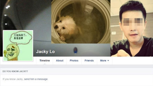 洗衣机洗狗引香港市民怒轰 虐待动物或为心理