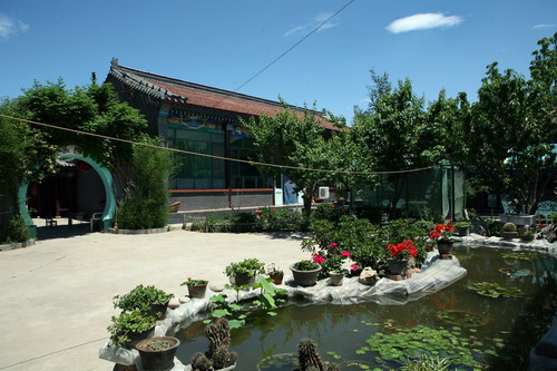 北京市顺义区把村庄庭院绿化纳入全区大盘子