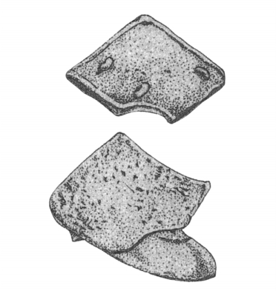 大家底蕴,不忽精微(2)