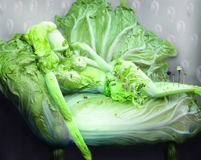 海底捞白菜香菜莲藕猜成语_海底捞火锅图片(2)