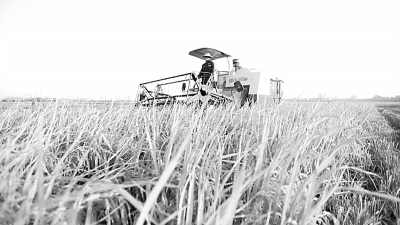 弘扬劳动精神 铸就美丽中国梦(2)