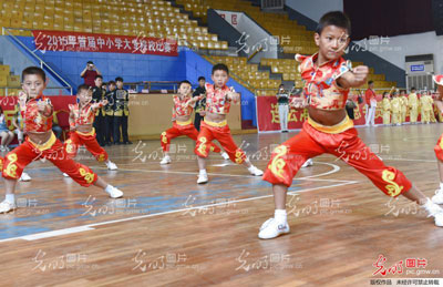少儿武术表演