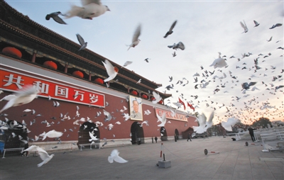 昨日清晨,天安门城楼前,在国旗升起的瞬间,一万只白鸽飞上天空.