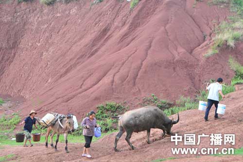 昆明石林县人口_石林彝族自治县人民政府 精神文明建设 中国石林网(2)