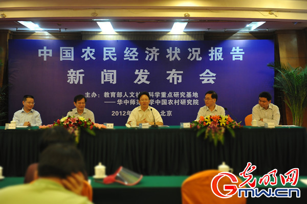 收入证明_农民经济收入低