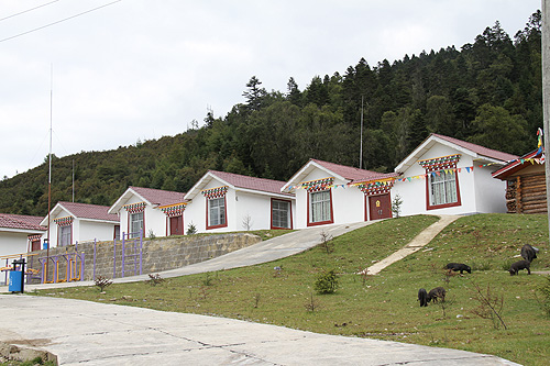 四川木里藏族自治县牧民安居点的新面貌 _发展