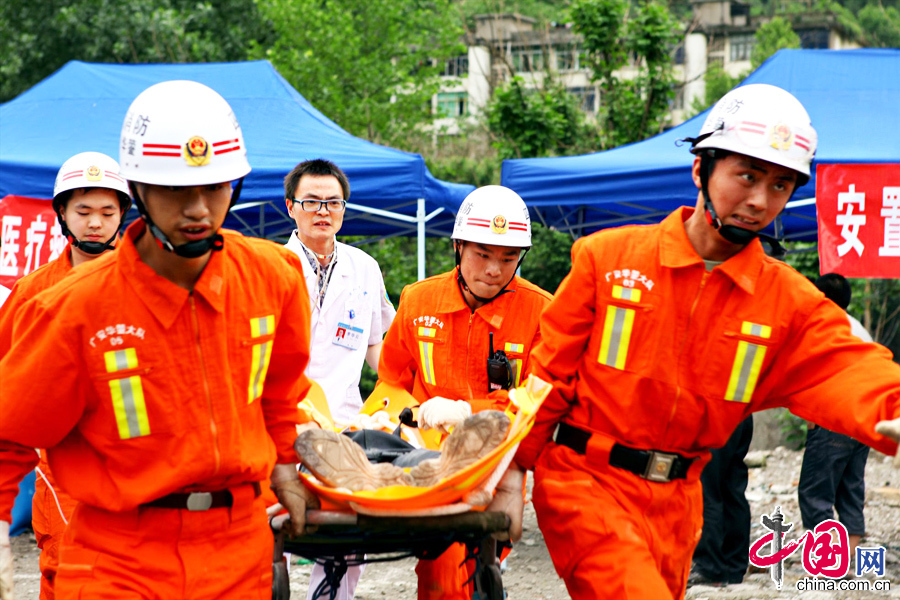 全国镇本地人口多少_全国老人有多少人口(3)