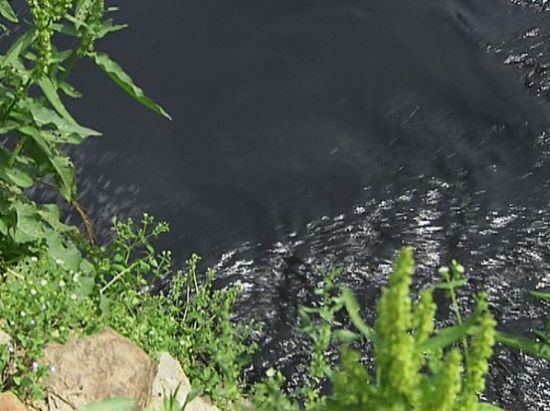 每年5000万吨污水直排入汉江