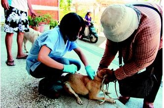 台民众闻狂犬病色变 台东三妇人被咬伤打疫苗