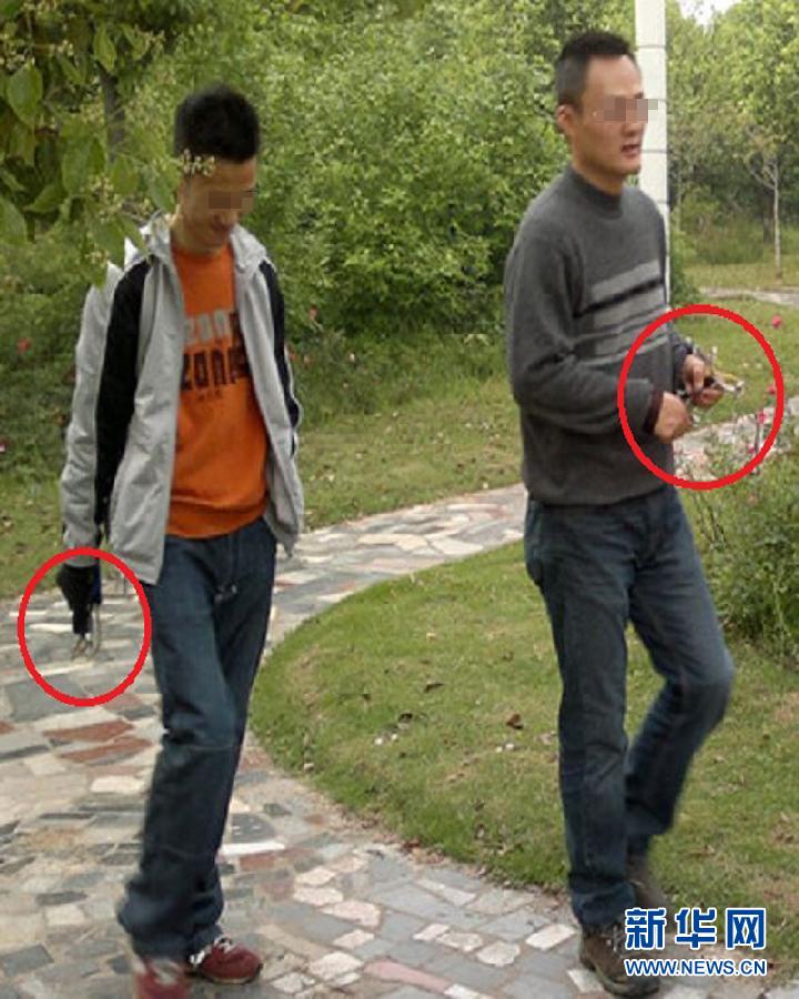 新型弹弓伤人害鸟堪比枪械 都市猎人行走江湖