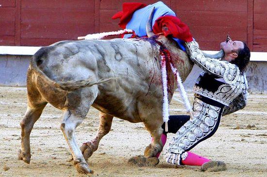 年度十大震撼视觉瞬间:斗牛士血洒赛场男篮斗殴