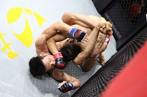 MMA锐力搏冠军赛巅峰对决 最强者引爆岛城