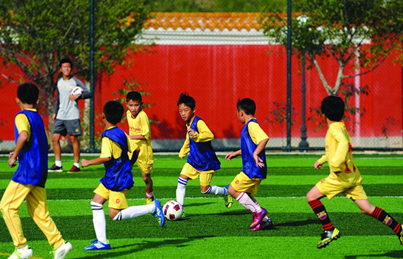 教育部宣布成立青少年校园足球工作领导小组