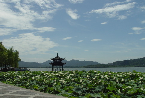 收入证明_长三角旅游收入(2)