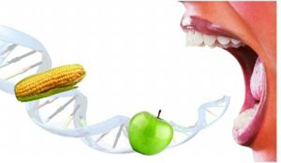 【第61期】转基因食品,我们如何明白你(2)