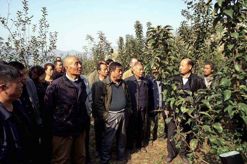 安阳市举办水库移民秋季果树管理实用技术培训