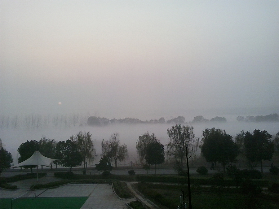 淮上仙境 _作品选登 _光明网