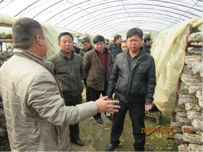 鹤壁市山城区水利局组织移民群众赴辉县学习致