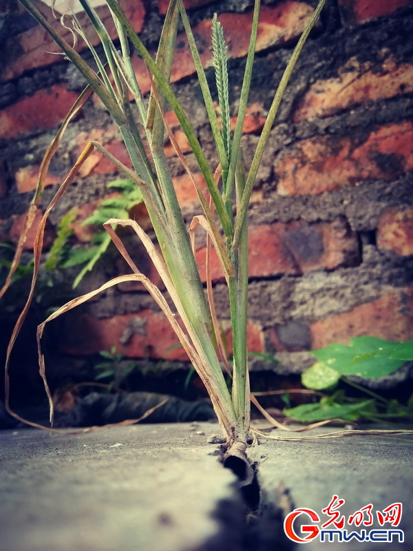 12329 绝处逢生 _作品选登