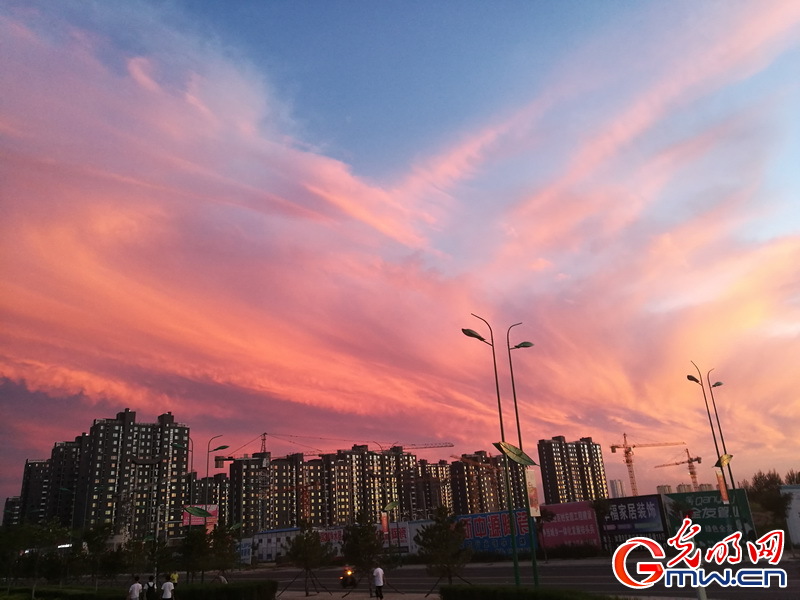 16437 余晖 _作品选登