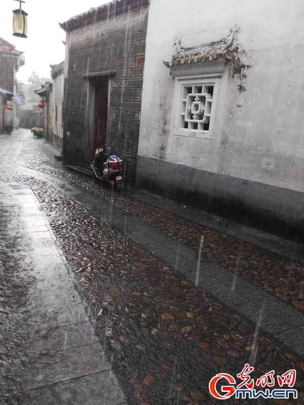 16441 雨巷 _作品选登