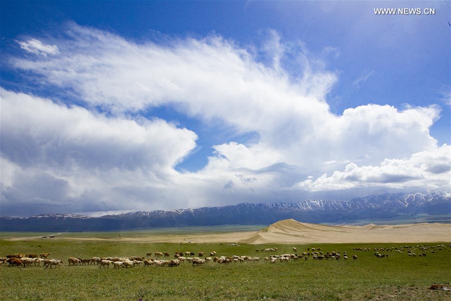 Scenery of Tianshan mountain scenic area at H