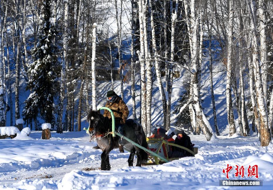 Horse drawn sleds seen in NW China’s Xinjiang