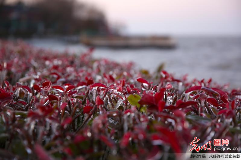 Amazing ice scenery of Hongze Lake in Huai'an City, China's Jiangsu Province