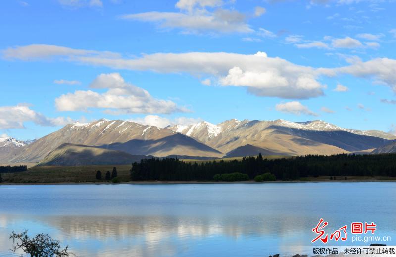 Scenery of lake tikcapo, New Zealand