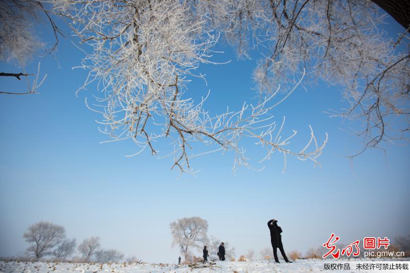 Picturesque rime scenery in NE China’s Jilin