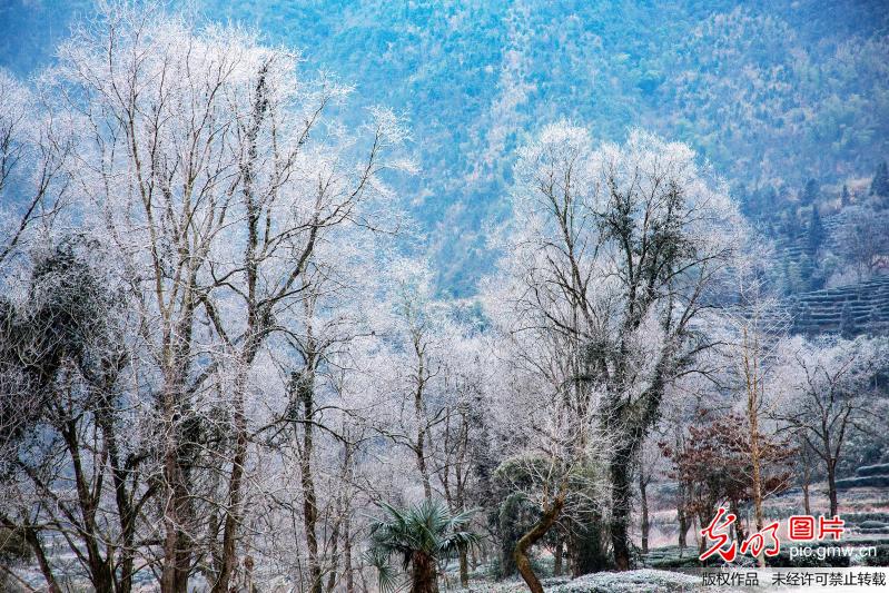 Picturesque rime scenery in E China’s Anhui Province