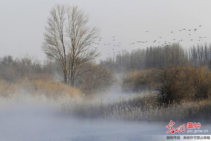 Stunning scenery of deserts wetlands in NW China’s Gansu