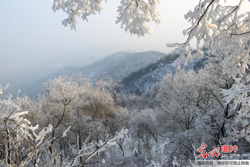 Rime scenery in E China’s Nanjing