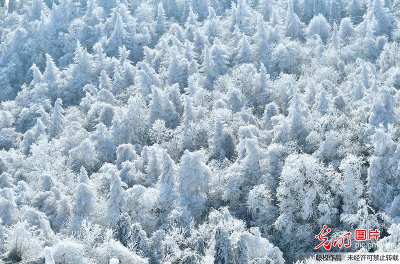 Picturesque snow scenery in C China’s Hubei