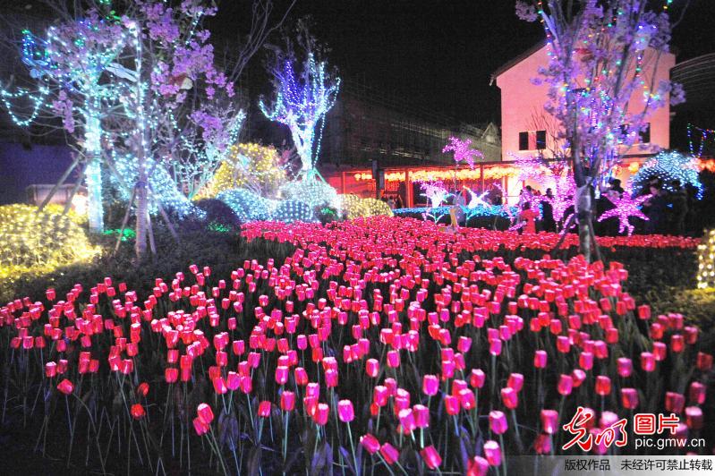 Colored lights across China to celebrate Spring Festival