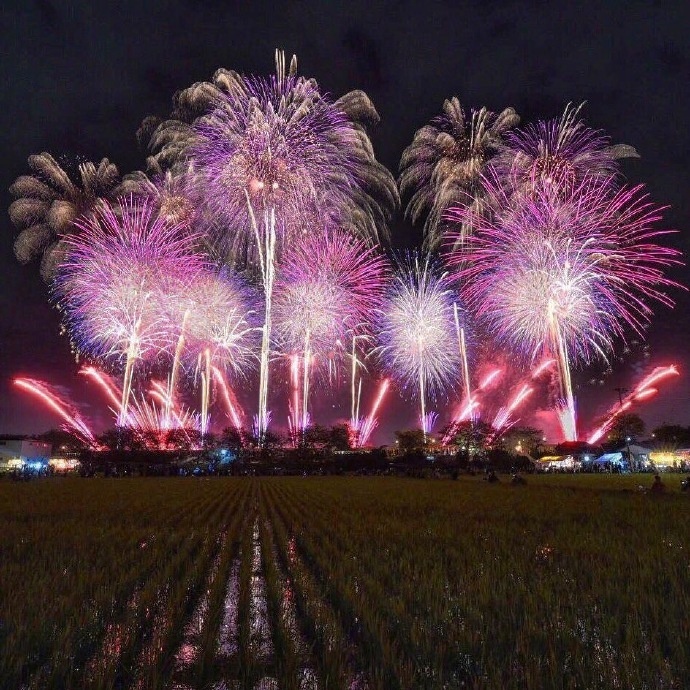 Amazing Fireworks Festivals in Japan