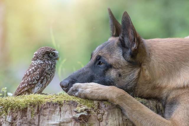 So moved. Friendship beyond species