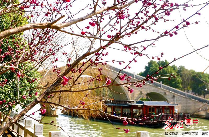 Blossom season in Jiangsu