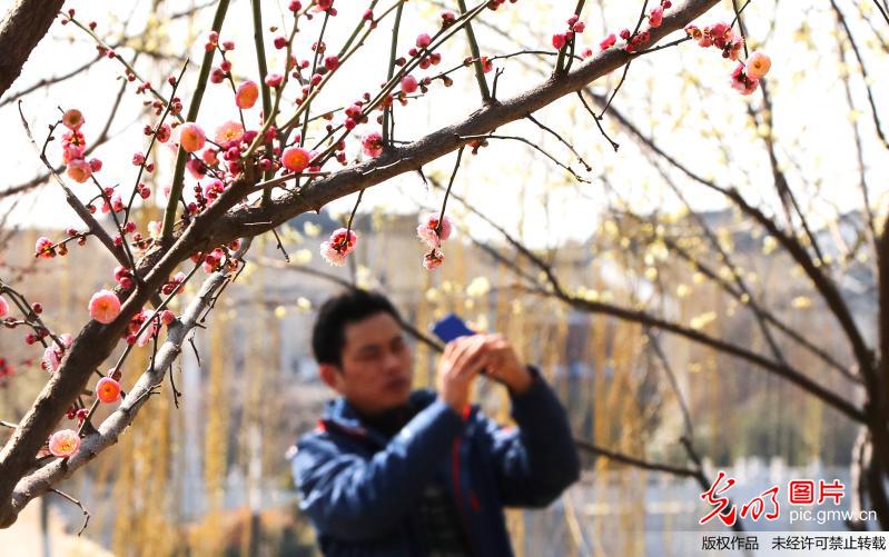 Blossom season in Jiangsu