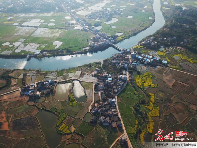 Aerial scenery of blooming flowers in C China’s Hunan Province